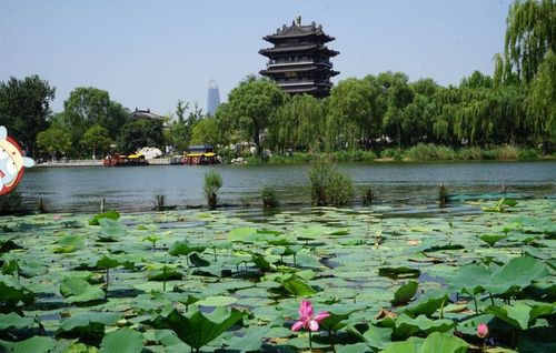 济南大明湖要门票吗_济南大明湖要门票吗现在