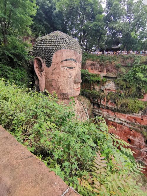 乐山大佛免费讲解_乐山大佛科普